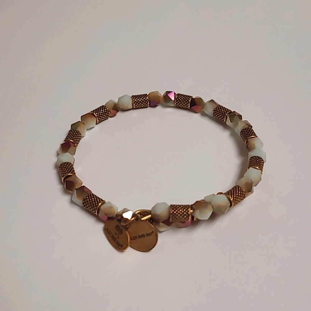 Alex and Ani Robin ruler wrap bracelet